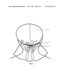  NOVEL AND CONVENIENT HEADWEAR - NUDU diagram and image