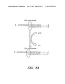 METHODS AND APPARATUS FOR MEASURING ANALYTES USING LARGE SCALE FET ARRAYS diagram and image