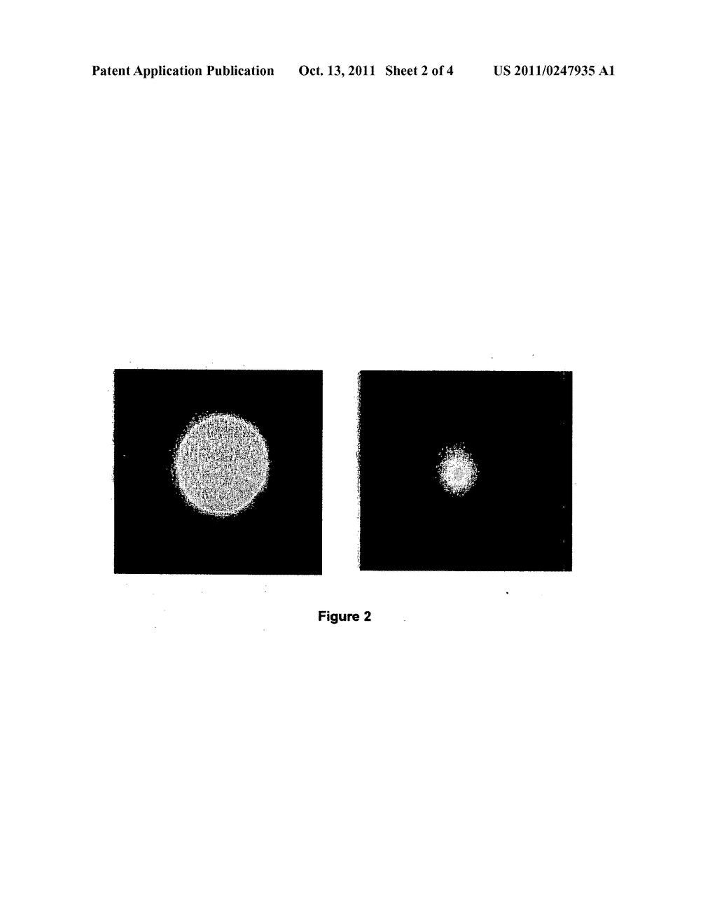 ELECTROPHORETIC DEVICE FOR SEPARATION OF CHARGED MOLECULES USING A PETRI     DISH - diagram, schematic, and image 03