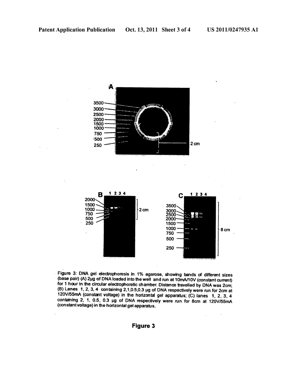 ELECTROPHORETIC DEVICE FOR SEPARATION OF CHARGED MOLECULES USING A PETRI     DISH - diagram, schematic, and image 04