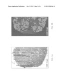 TUNABLE LASER-BASED INFRARED IMAGING SYSTEM AND METHOD OF USE THEREOF diagram and image