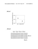 NITRIDE-BASED SEMICONDUCTOR DEVICE AND METHOD FOR FABRICATING THE SAME diagram and image