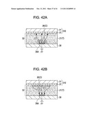 ELECTROPHORETIC DISPLAY DEVICE AND ELECTRONIC APPARATUS diagram and image