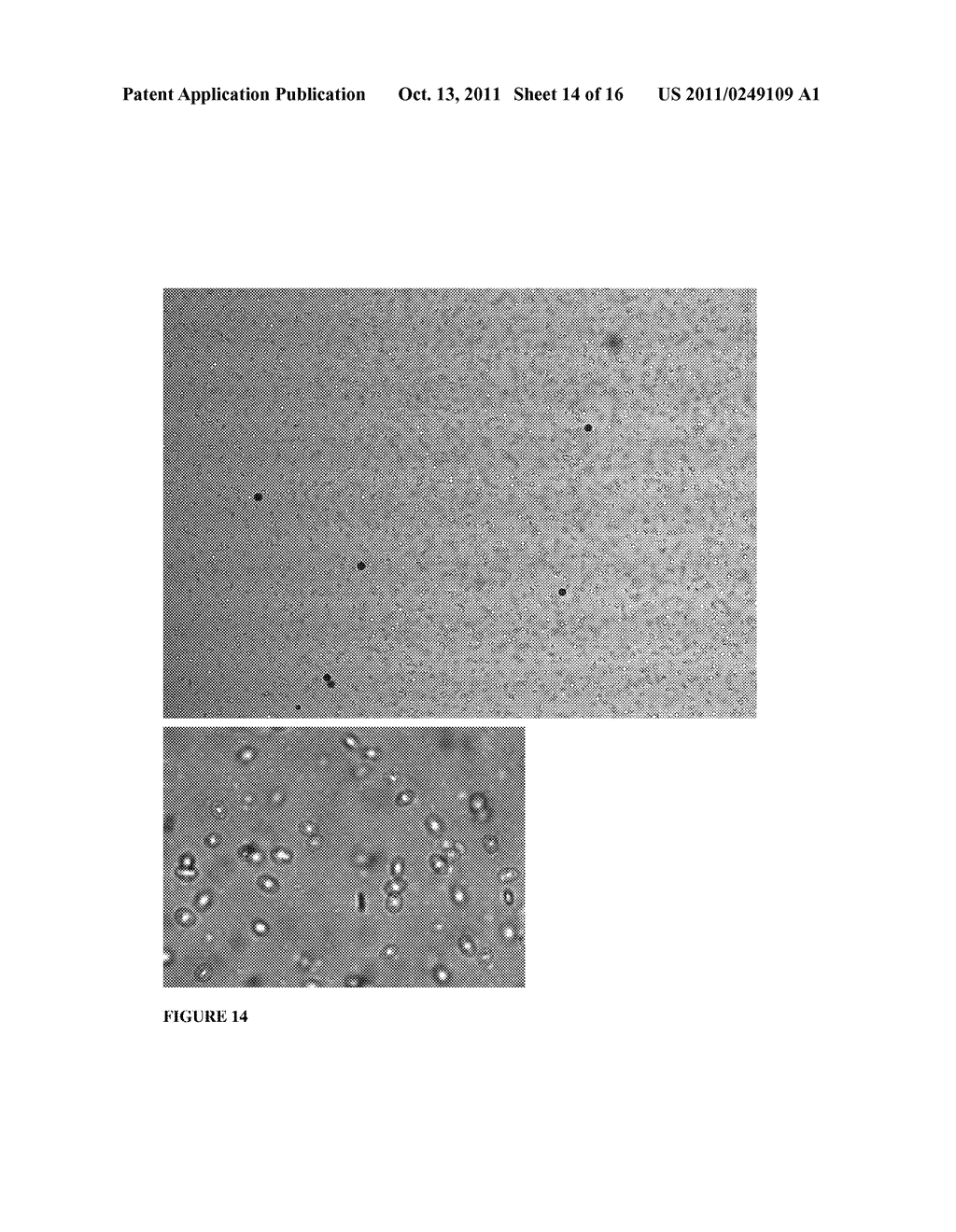 Microscopy imaging - diagram, schematic, and image 15