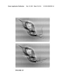 Microscopy imaging diagram and image