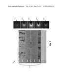 ELECTROCHROMIC DEVICES diagram and image