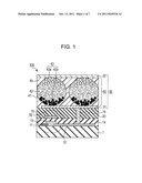 ELECTROPHORETIC DISPLAY diagram and image