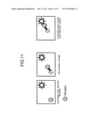 IMAGE DISPLAY DEVICE, IMAGE DISPLAY METHOD, AND IMAGE DISPLAY PROGRAM diagram and image