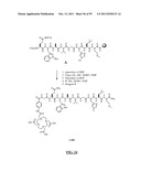 GASTRIN RELEASING PEPTIDE COMPOUNDS diagram and image