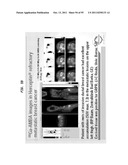 GASTRIN RELEASING PEPTIDE COMPOUNDS diagram and image