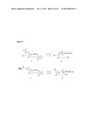 SINGLE-STRANDED AND DOUBLE-STRANDED OLIGONUCLEOTIDES COMPRISING A     METAL-CHELATING LIGAND diagram and image