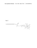 SINGLE-STRANDED AND DOUBLE-STRANDED OLIGONUCLEOTIDES COMPRISING A     METAL-CHELATING LIGAND diagram and image