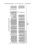 Antibodies against CXCR4 and Methods of Use Thereof diagram and image