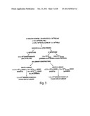 Antibodies against CXCR4 and Methods of Use Thereof diagram and image