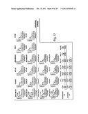 Antibodies against CXCR4 and Methods of Use Thereof diagram and image