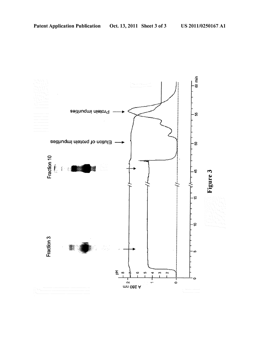 METHOD FOR PURIFYING PROTEINS - diagram, schematic, and image 04