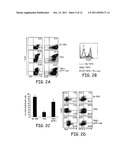 Methods and compositions for inhibition of Treg cells diagram and image