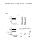 TLR7 LIGAND AND USES THEREOF diagram and image