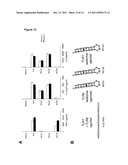 TLR7 LIGAND AND USES THEREOF diagram and image