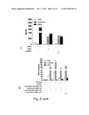 PHARMACEUTICAL PREPARATION diagram and image