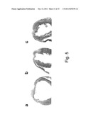 PHARMACEUTICAL PREPARATION diagram and image