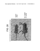 ANTAGONISTS OF IL-6 TO RAISE ALBUMIN AND/OR LOWER CRP diagram and image