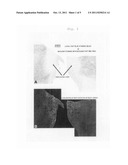 DRUG DELIVERY SYSTEM TOWARD DEMYELINATING LESION AND BIOCHEMICAL MARKER OF     DEMYELINATING LESION diagram and image