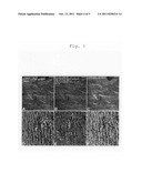 DRUG DELIVERY SYSTEM TOWARD DEMYELINATING LESION AND BIOCHEMICAL MARKER OF     DEMYELINATING LESION diagram and image