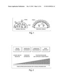 METHODS FOR KILLING PSMA-EXPRESSING, TAXANE-RESISTANT CANCER CELLS diagram and image