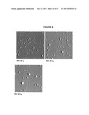 NANOPARTICLE COMPOSITIONS diagram and image