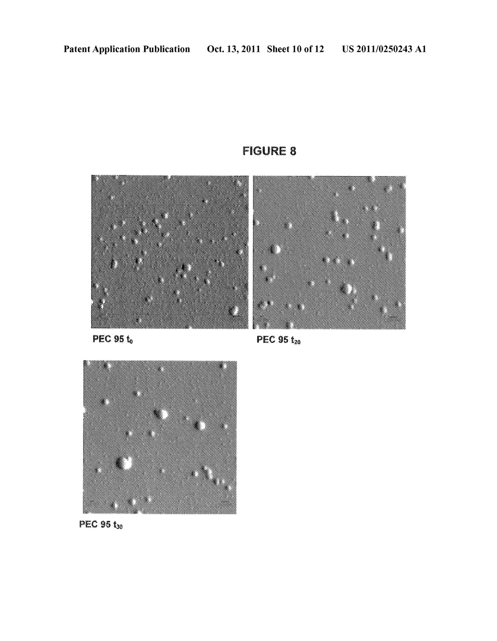 NANOPARTICLE COMPOSITIONS - diagram, schematic, and image 11