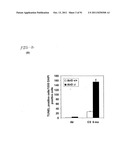 COMPOSITIONS AND METHODS FOR THE TREATMENT OR PREVENTION OF DISORDERS     RELATING TO OXIDATIVE STRESS diagram and image