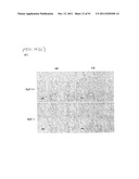 COMPOSITIONS AND METHODS FOR THE TREATMENT OR PREVENTION OF DISORDERS     RELATING TO OXIDATIVE STRESS diagram and image