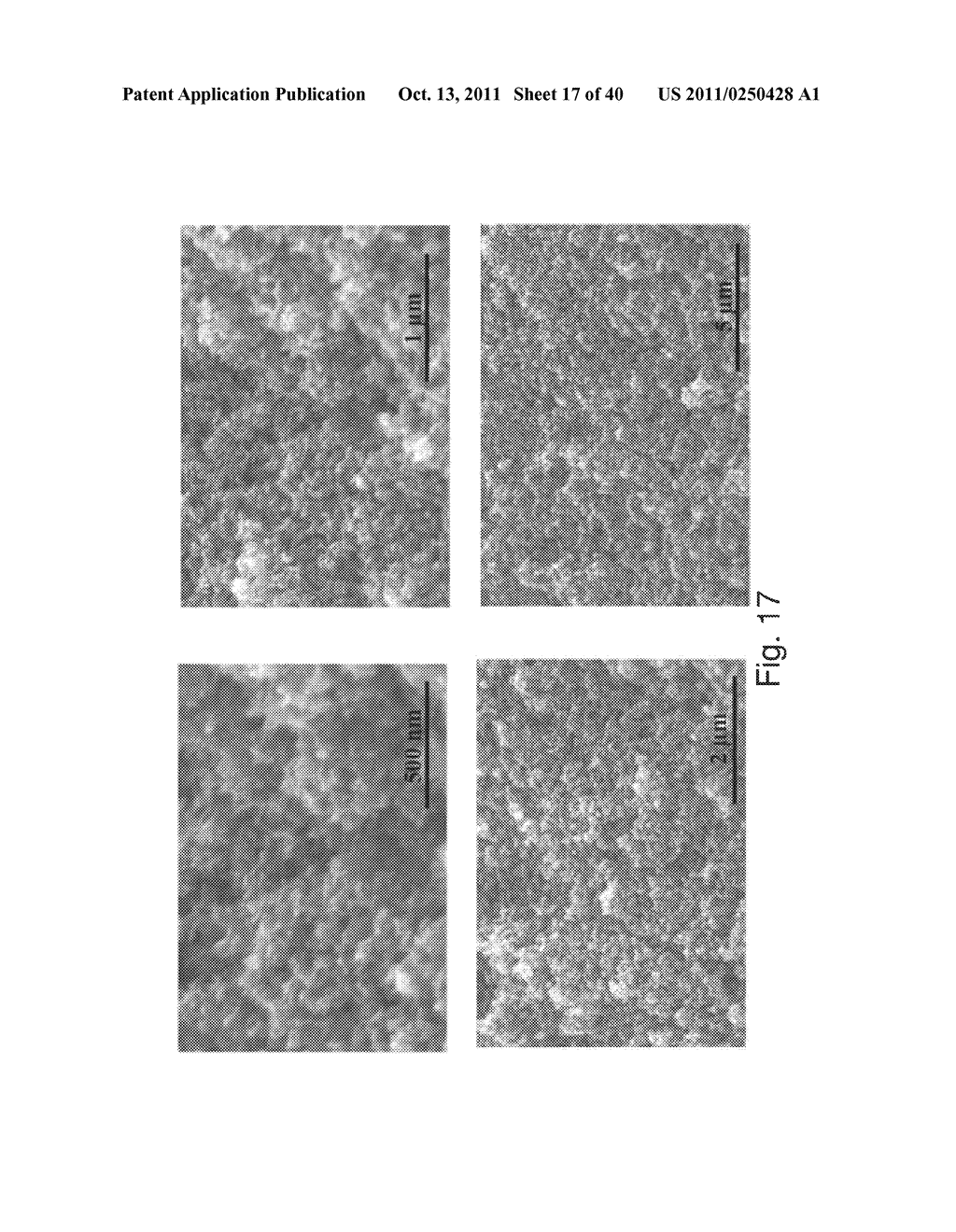 PREPARATION OF CROSS-LINKED AEROGELS AND DERIVATIVES THEREOF - diagram, schematic, and image 18