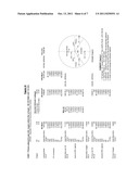 OXY-FUEL COMBUSTION OXIDANT HEATER INTERNAL ARRANGEMENT diagram and image