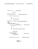 Methods and Compositions to Detect Nucleic Acids in a Biological Sample diagram and image