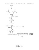 FERMENTIVE PRODUCTION OF ISOBUTANOL USING HIGHLY ACTIVE KETOL-ACID     REDUCTOISOMERASE ENZYMES diagram and image