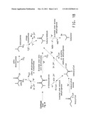 FERMENTIVE PRODUCTION OF ISOBUTANOL USING HIGHLY ACTIVE KETOL-ACID     REDUCTOISOMERASE ENZYMES diagram and image