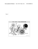 METHODS OF EVALUATING AN IMMUNE RESPONSE TO AN ANTIGEN diagram and image