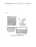 METHODS OF EVALUATING AN IMMUNE RESPONSE TO AN ANTIGEN diagram and image