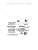 METHODS OF EVALUATING AN IMMUNE RESPONSE TO AN ANTIGEN diagram and image