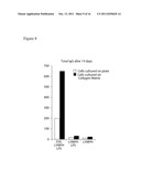 METHODS OF EVALUATING AN IMMUNE RESPONSE TO AN ANTIGEN diagram and image