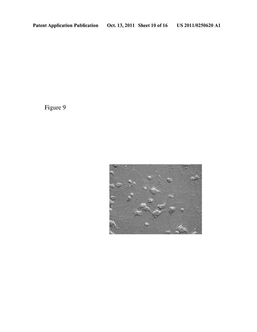 METHODS OF EVALUATING AN IMMUNE RESPONSE TO AN ANTIGEN - diagram, schematic, and image 11