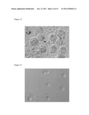 METHODS OF EVALUATING AN IMMUNE RESPONSE TO AN ANTIGEN diagram and image