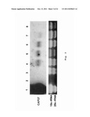 BIOMARKER AND METHOD FOR DETECTING A CHRONIC INFLAMMATORY-ASSOCIATED     DISEASE diagram and image