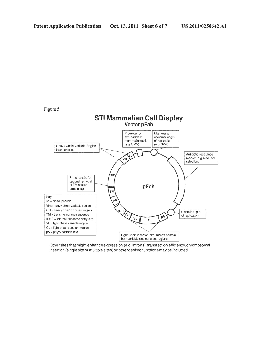 Method for Displaying Antibodies - diagram, schematic, and image 07