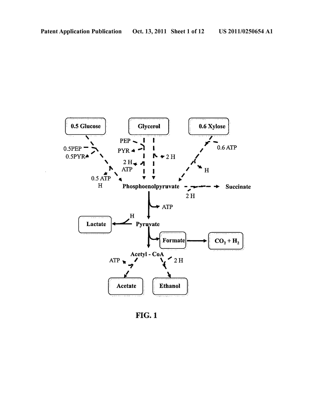 MICROAEROBIC CULTURES FOR CONVERTING GLYCEROL TO CHEMICALS - diagram, schematic, and image 02