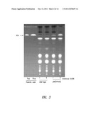 MODIFIED PHOTOSYNTHETIC MICROORGANISMS FOR PRODUCING LIPIDS diagram and image