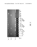 MODIFIED PHOTOSYNTHETIC MICROORGANISMS FOR PRODUCING LIPIDS diagram and image