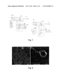 FOSSIL FUEL-FREE PROCESS OF LIGNOCELLULOSIC PRETREATMENT WITH BIOLOGICAL     HYDROGEN PRODUCTION diagram and image